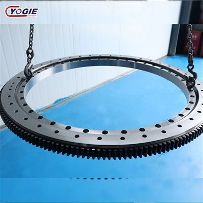 Mae Gwneuthurwr Tsieina yn cynnig Slewing Ring Bearing gyda High Precision